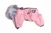 LionPets Комбинезон Nice-Style SLP128XXL, пудра, девочка, спина 37см.