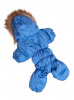 LionPets Комбинезон Winter LP016M, голубой, унисекс, спина 27-29см.