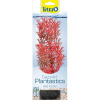 Tetra DecoArt Растение "Фокстайл красный" M, пласт., 23см.