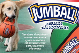 Активная игра с GiGwi
